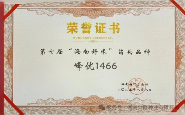 高端優(yōu)質稻品種丨“峰優(yōu)1466”榮獲第七屆“海南好米”苗頭品種